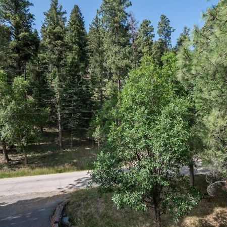 Вілла Trailhead Hideaway Руідозо Екстер'єр фото